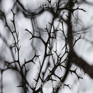 Тернии