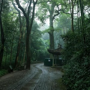 墨色等归人