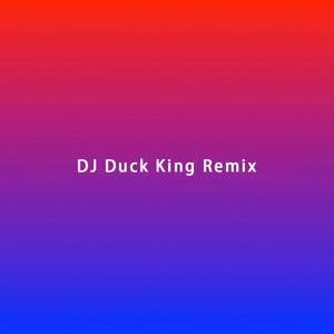 extended Mix-这是一次测试(DJDuck King Remix)（DJ Duck King Remix）