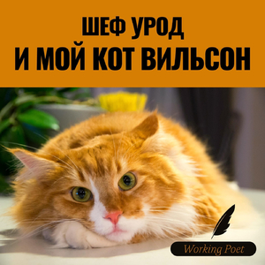 Шеф Урод И Мой Кот Вильсон