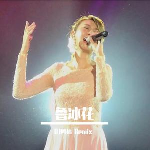 卓依婷-鲁冰花（DJ阿福 remix）