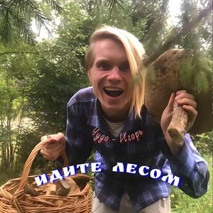 Идите лесом