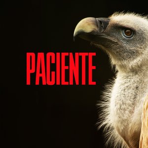 Modo Sombra