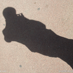 影子（翻自 吴琼）