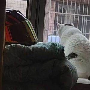 无所为