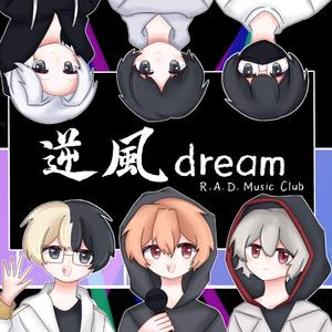 逆风dream (和声伴奏)