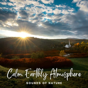 Eco Friendly Environment