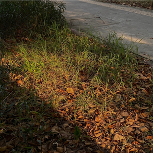 อยากเป็นเพลงที่เธอต้องเปิดฟังสักครั้งต่อวัน