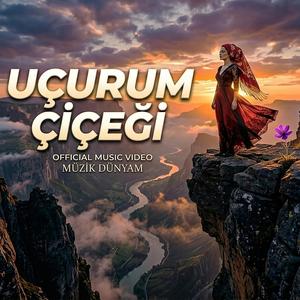Uçurum Çiçeği