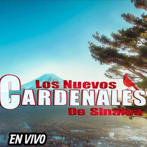 Ojitos negros-Los Nuevos Cardenales de Sinaloa en vivo (En vivo)