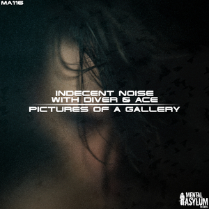 Pictures of a Gallery