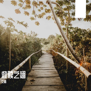 救赎之翅