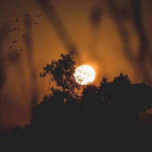 雨爱（翻自 杨丞琳）