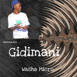 Gidimani remake (feat. Washa Micro SA)