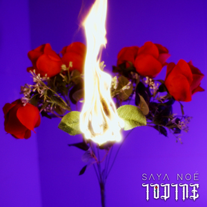 Iodine (Bvyks Remix)