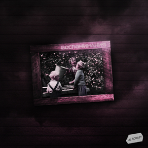 Воспоминания