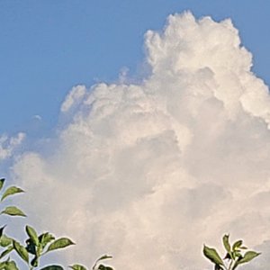 wav320-永不失联的爱