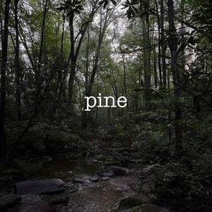 pine