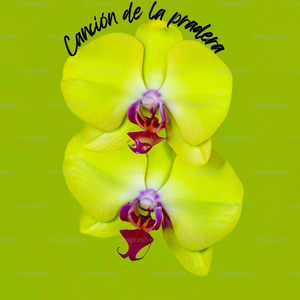 Canción de la Pradera