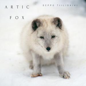 Artic Fox (feat. Kari Koiranhäntä & Antti Naali)