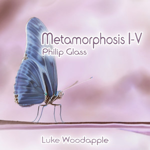 Metamorphosis II