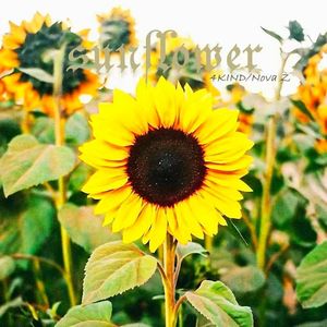 Sunflower (prod by GC)