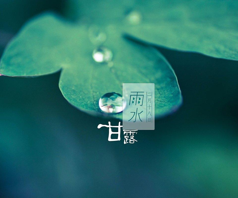 雨水 - 桑葚上的猴子