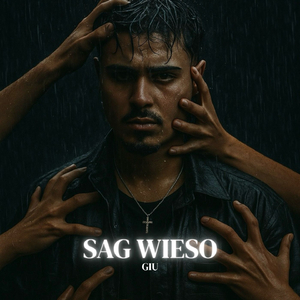 Sag Wieso