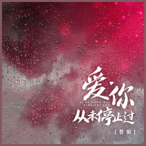 爱你从未停止过