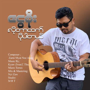 လိုတာထက်ပိုပါတယ်