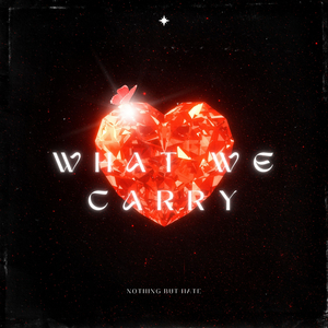 What We Carry