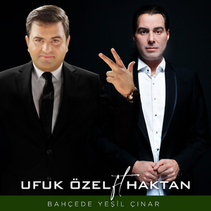 Bahçede Yeşil Çınar