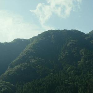 可以永远不长大的小孩