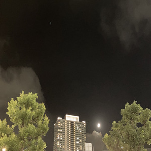 quiet grace sound source