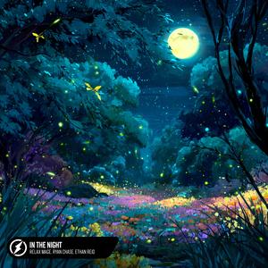 In The Night