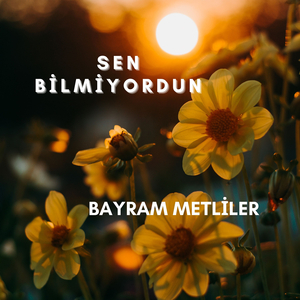 Sen Bilmiyordun
