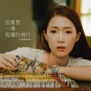 寂寞是一场孤独的飞行