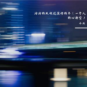 冷冷的风吹过没你的冬（一个人的心好空）