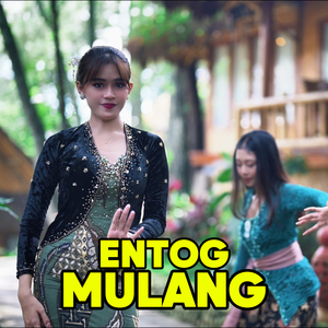 Entog Mulang