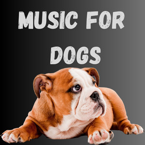 Dog Calming Music
