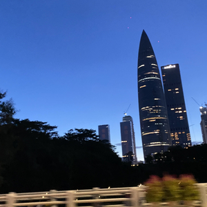 雨夜相思（二轮草）一童子功.mp3