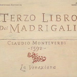 Se per estremo ardore