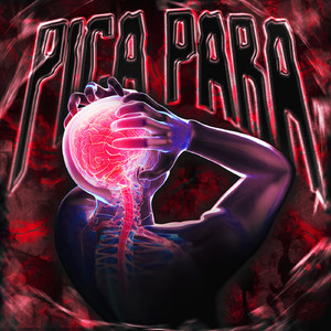 PICA PARA