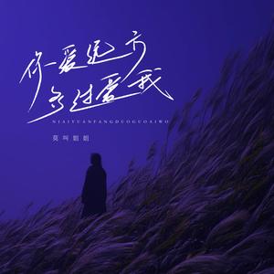 你爱远方多过爱我