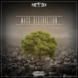 Mass Destruction (Radio Edit)