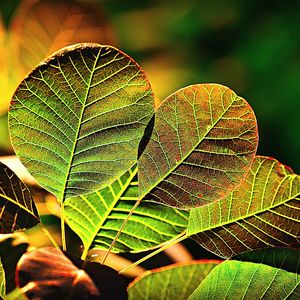 精彩在家冥想环境