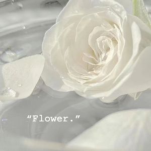 未完的花（Prod by RedTigerMusic ）