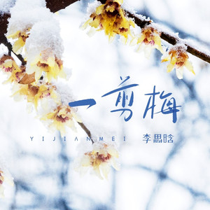 一剪梅 (伴奏)