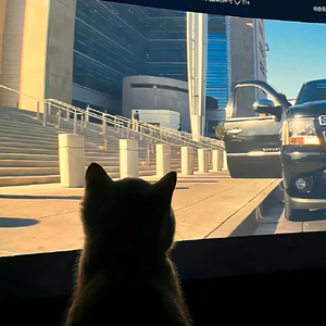 听说(翻自 丛铭君)