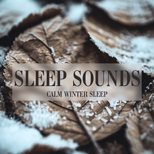 睡眠用BGM 鳥の声と森のギターセラピー